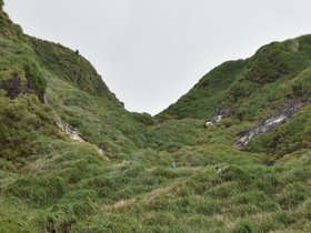 DSC_5535.JPG