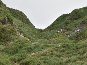 DSC_5536.JPG