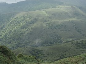 DSC_5540.JPG