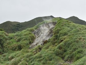 DSC_5545.JPG