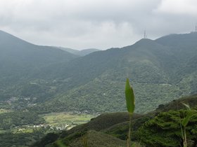 DSC_5548.JPG