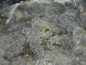 DSC_5549.JPG