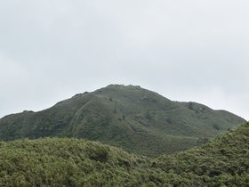 DSC_5558.JPG