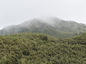DSC_5560.JPG