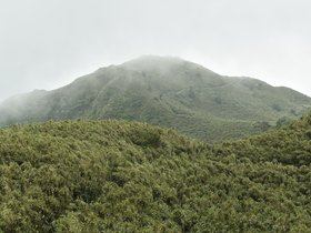 DSC_5561.JPG