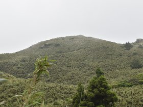 DSC_5564.JPG