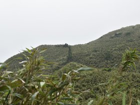 DSC_5565.JPG