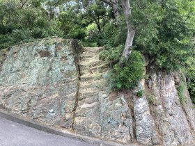 IMG_0283.JPG