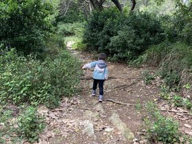 IMG_0284.JPG