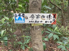 IMG_0294.JPG