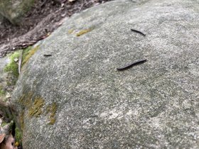 IMG_0296.JPG