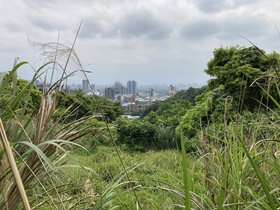 IMG_0298.JPG