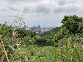 IMG_0299.JPG