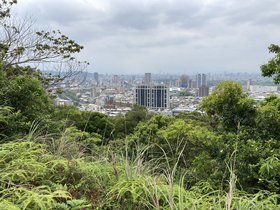 IMG_0335.JPG