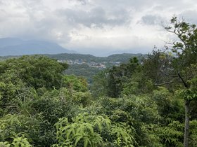 IMG_0494.JPG