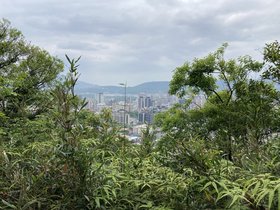 IMG_0506.JPG