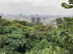 IMG_0599.JPG