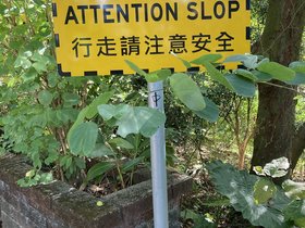 IMG_0268.JPG