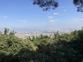 IMG_0287.JPG
