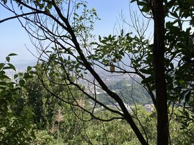 IMG_0291.JPG