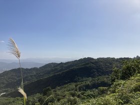 IMG_0294.JPG