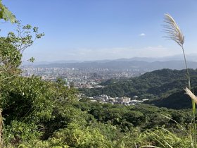 IMG_0295.JPG