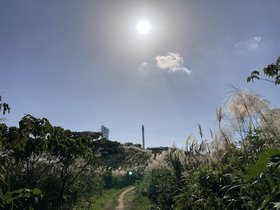 IMG_0301.JPG