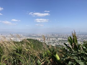 IMG_0308.JPG