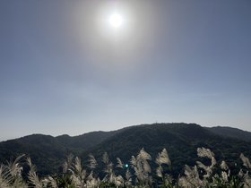 IMG_0430.JPG