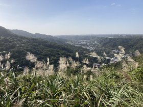 IMG_0432.JPG