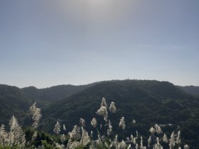 IMG_0433.JPG