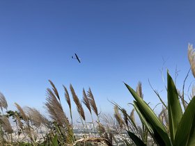 IMG_0443.JPG