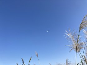 IMG_0445.JPG