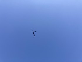 IMG_0446.JPG