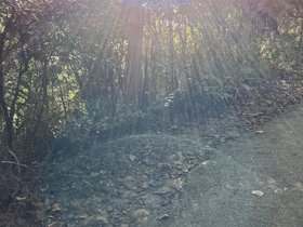 IMG_0458.JPG