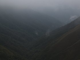 DSC_1420.JPG