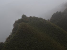 DSC_1422.JPG