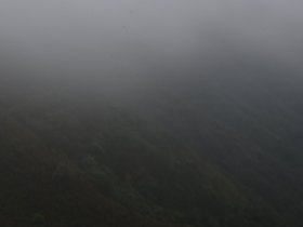 DSC_1423.JPG