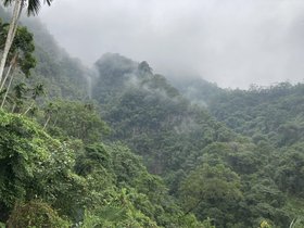 IMG_0408.JPG