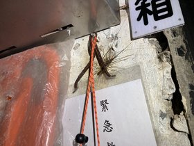 IMG_0430.JPG