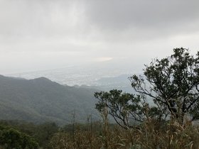 IMG_0455.JPG