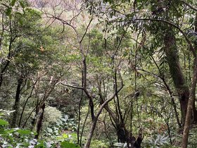 IMG_0461.JPG