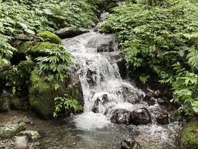 IMG_0465.JPG