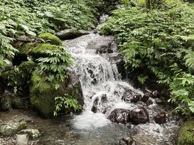 IMG_0466.JPG