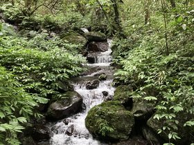 IMG_0468.JPG