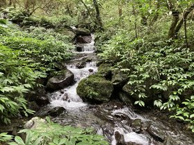 IMG_0469.JPG