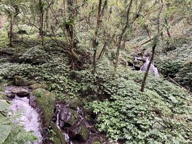 IMG_0470.JPG