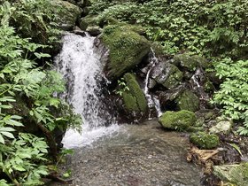 IMG_0471.JPG