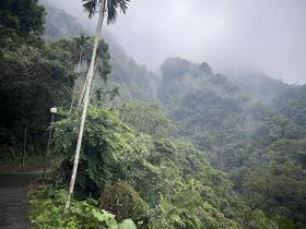 IMG_1367.jpg