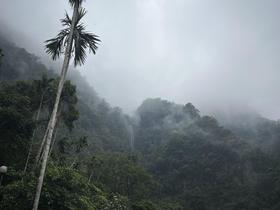IMG_1368.jpg
